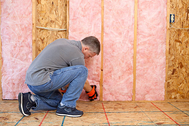 Best Insulation for New Construction  in Lawrence, KS